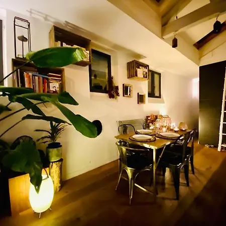 Apartment Loft De Charme Louvre Tuileries Palais Royal *