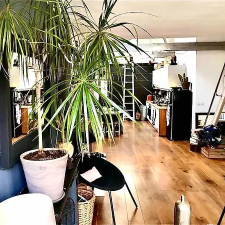 Apartamento Loft De Charme Louvre Tuileries Palais Royal *